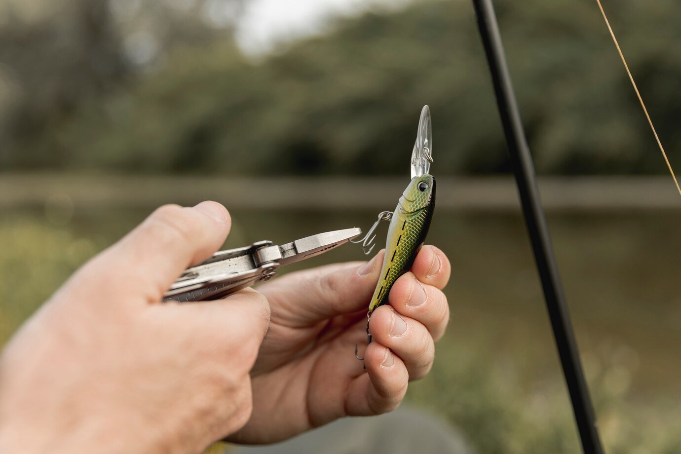 lure fishing rod.